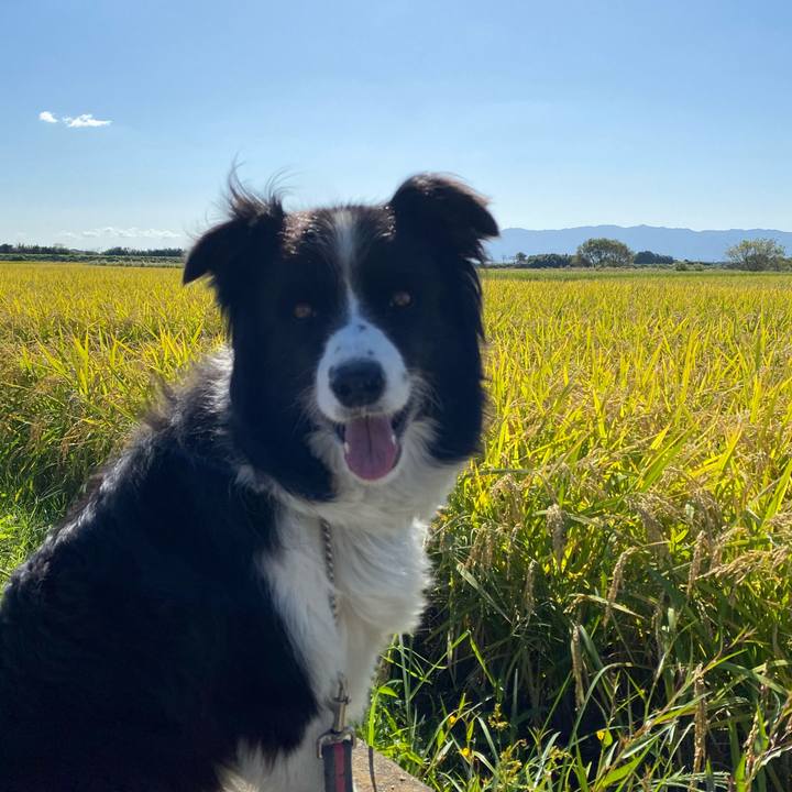 720a5eda 63dc 4d1d 8d69 4749ba9ad1b8 1601946097571