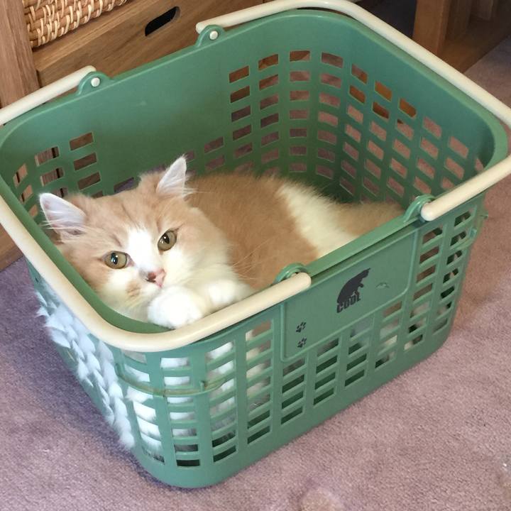 720a66a7 e895 46c4 b6f3 33cda263b1bb 1566823413260