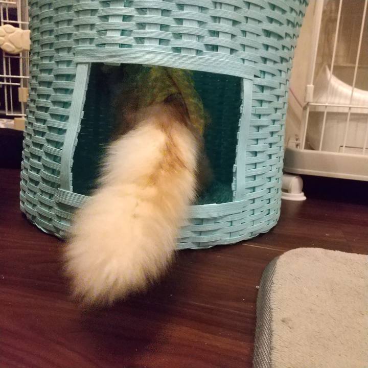 720a7513 f49f 4a5d 81ee 2b271d71c2fb 1614634076854