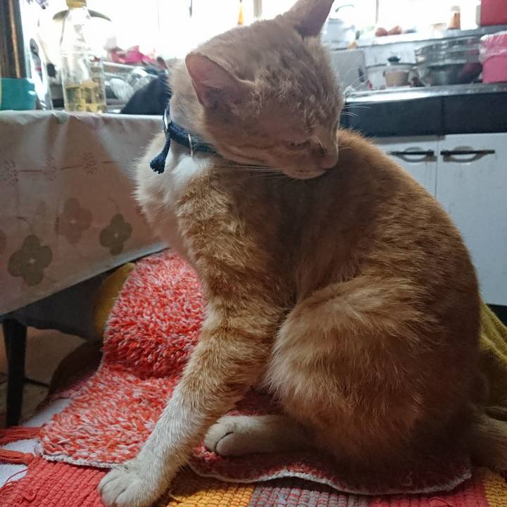 720aa692 5036 42ae 9803 7c312eaec5d4 1558557925025