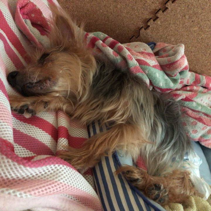 720ac368 784a 42fc 89fb f3931fee8843 1538785665165