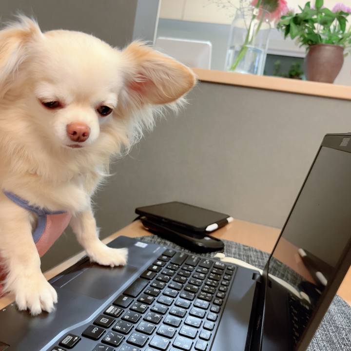 720ad618 6316 4ff3 8422 b5e2b7446ae4 1713702517467