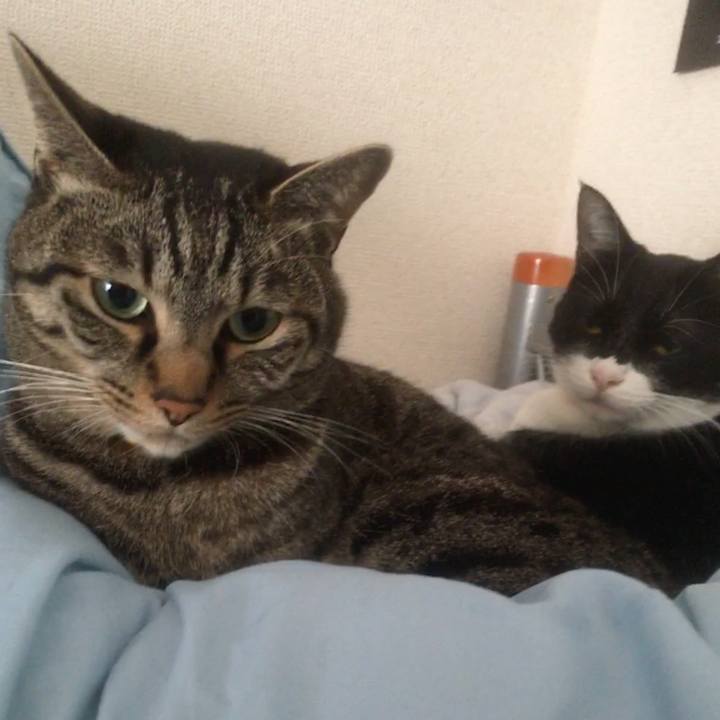 720ae55b ff15 4628 8a0c 72838cbe5ea0 1553563922065