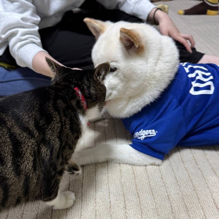 720af4d5 1639 4d49 aa8a 5bf7aa9589e4 1745716081513