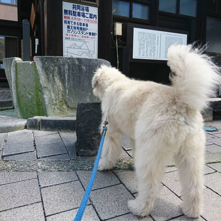 720b074a ab0e 4de3 82f2 c7ecdd3d71ef 1568545321258