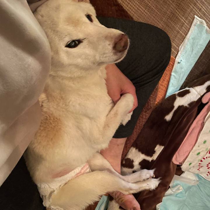 720b0d1e 1ae0 43ad b31c 1a75b6d19672 1675681597114