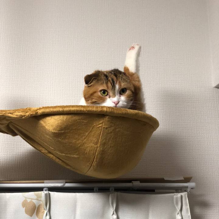 720b5a3e 4ea4 4c43 ac68 dadb0764f8db 1529328609239