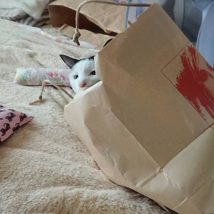 720b5b00 9570 4ce3 8bfd 8761caaa049e 1525790799183