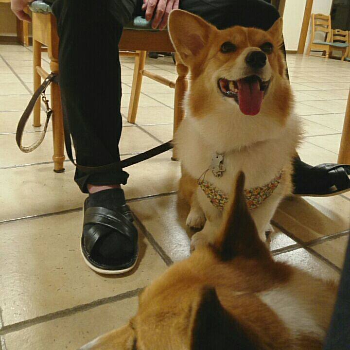 720bd3dd 8986 43f1 8d6b 6361230e5523 1542885245177