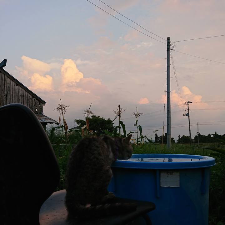 720bd680 524d 4753 bbd7 51f2b8b8e2eb 1598087874409