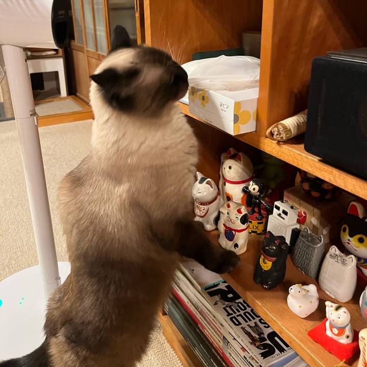 720c033d 6287 4cb0 be4d f0da5b18bb78 1660043345418