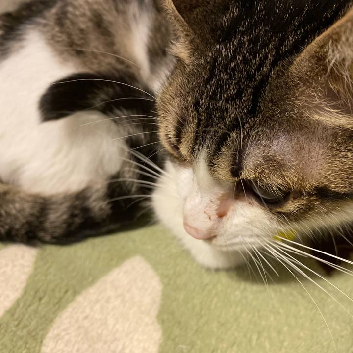 720c0421 04f1 4aba 8eb8 72665bf66a25 1705661605042