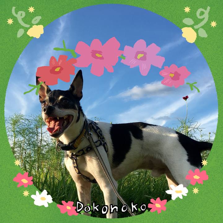 720c069d c799 46dd a944 8245fc7308f1 1726974747913