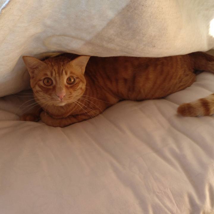 720c63b5 b7da 4a2b 8a6b 072f285a26dd 1703214560092