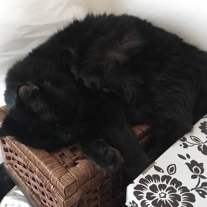 720c72bc c49e 4e86 9d6a e19142930ecd 1536540193910