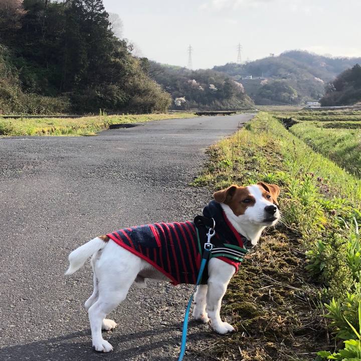 720c93a3 21f0 41b7 8554 d1e773e4caa8 1585559155417