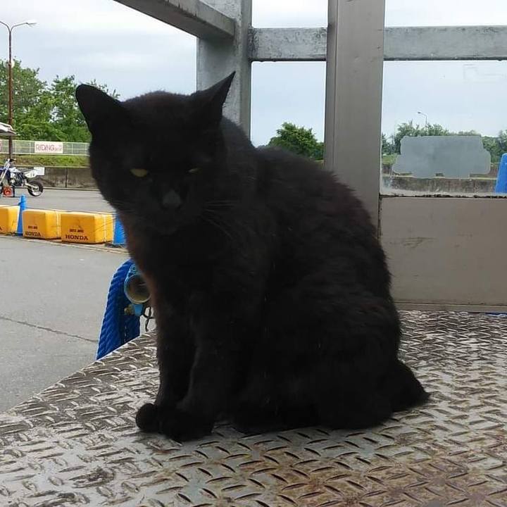 720ca2a1 9f0e 427c b87e b2b807d40ae2 1654569021768