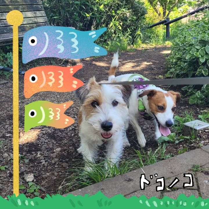 720cbd77 82b4 4bff 9c65 fbc69dd3996a 1714884801815