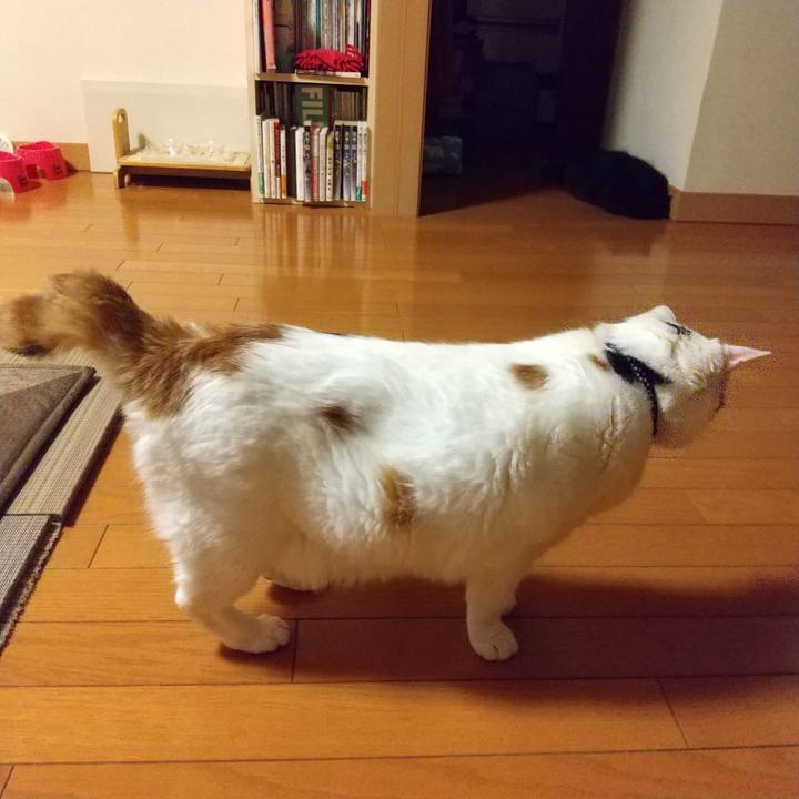 720cd024 2124 42e1 9be4 4a05d4717d65 1599557171751