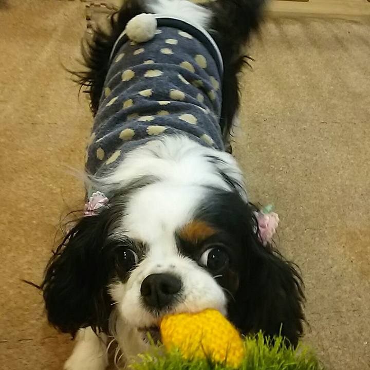 720cd42e 967b 44db b053 ef6d14344e5c 1544016957823