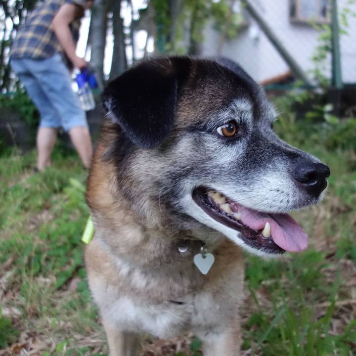 720d0e3d 80f2 4660 abf8 4781f0cd0b6a 1528540414536