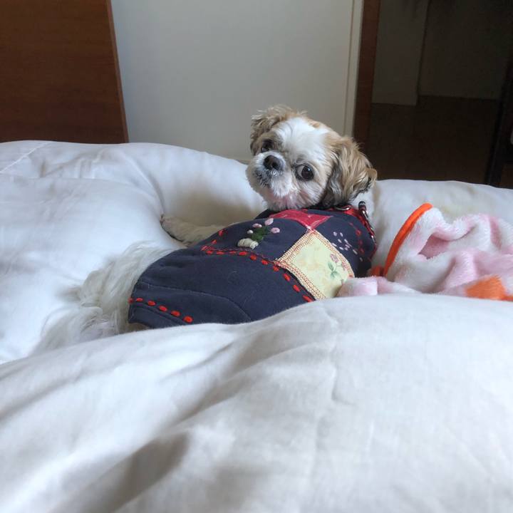 720d1611 2a2d 4129 bb7f f23f974e026b 1578025465192