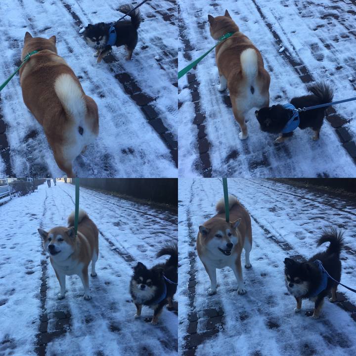 720d3f6c 6ae8 4528 9e3f 682de408098e 1644567169599