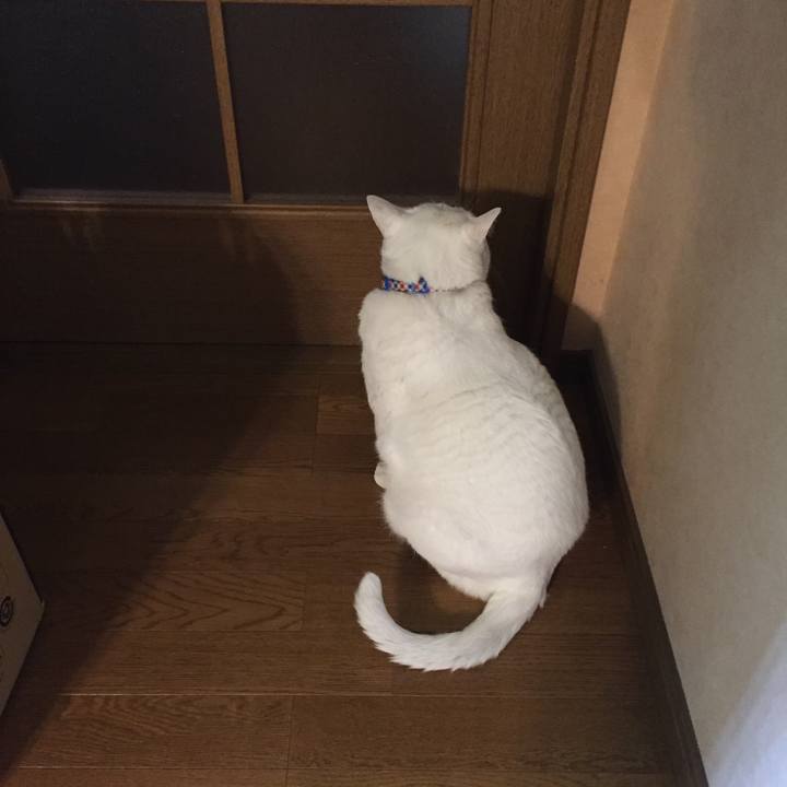 720d4e1a 1b6a 4abc a025 d554fd88d5f7 1578787512943