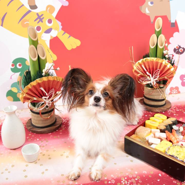 720d71d2 42da 4093 a567 479a355e9111 1512388496882