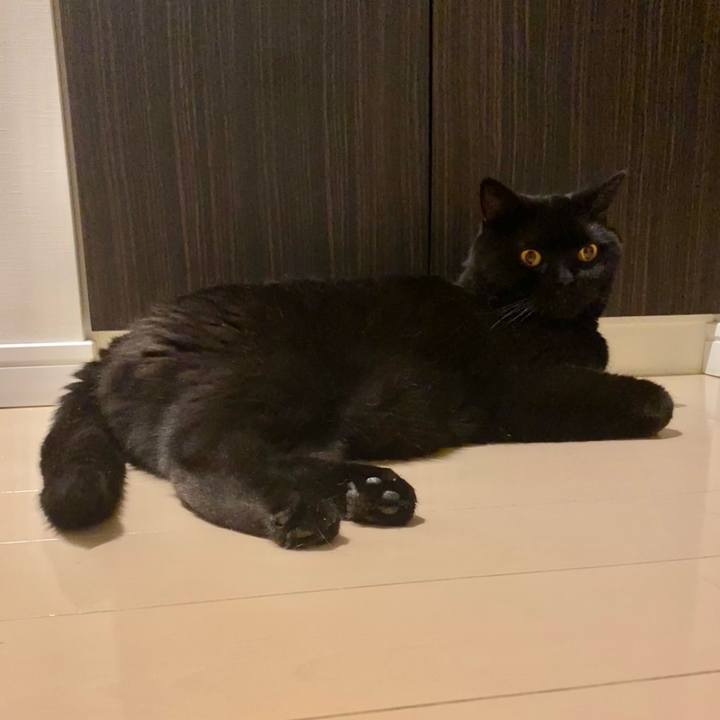 720da318 86b5 4b8f b416 e6171ad2851d 1689856079252