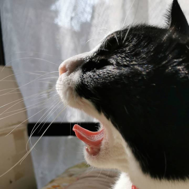 720ddf0d 21dc 438b 9214 dedbbca377a0 1678764008011