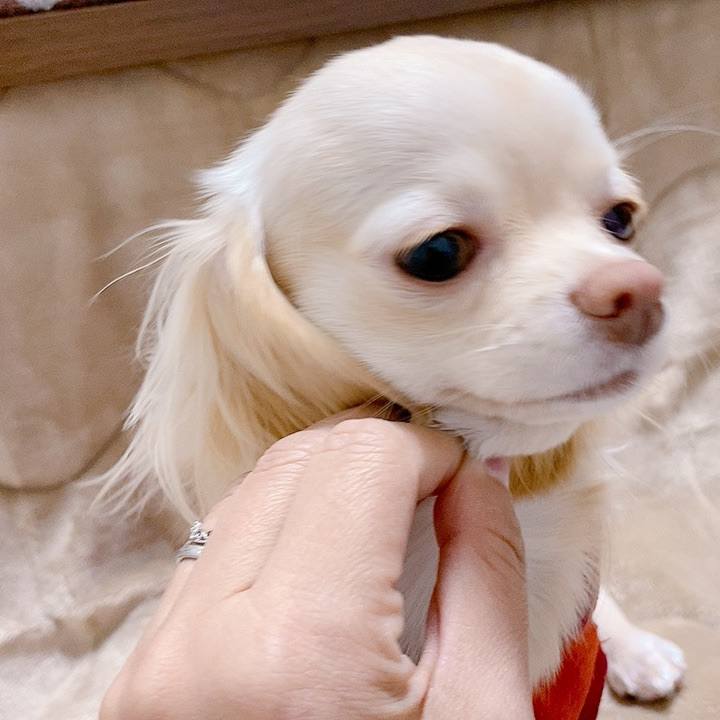 720e180c 70f0 4cb4 8fec 4591aa464b4f 1607934306159