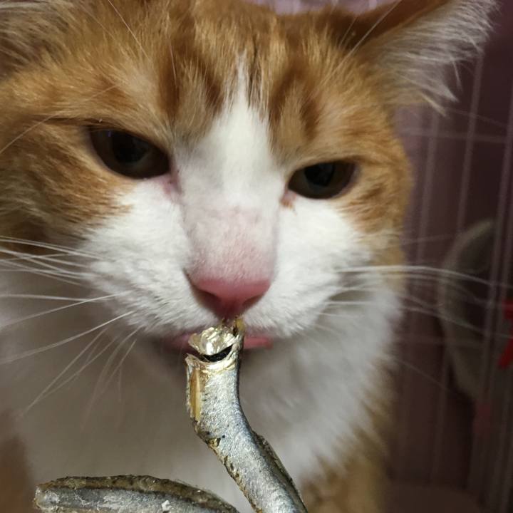 720e5d49 7e05 4b3e b5f5 2c8ec940a114 1516717457125