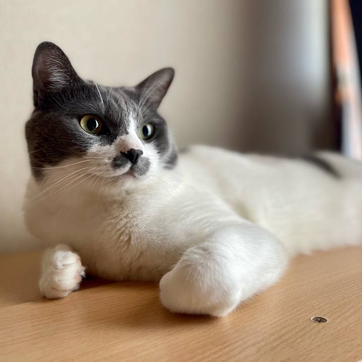 720e938c 4890 4839 ae64 7ad0ecb4173d 1658785209571