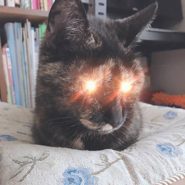 720e979a f6ca 478b 97ba b5507ceb9731 1562905347959