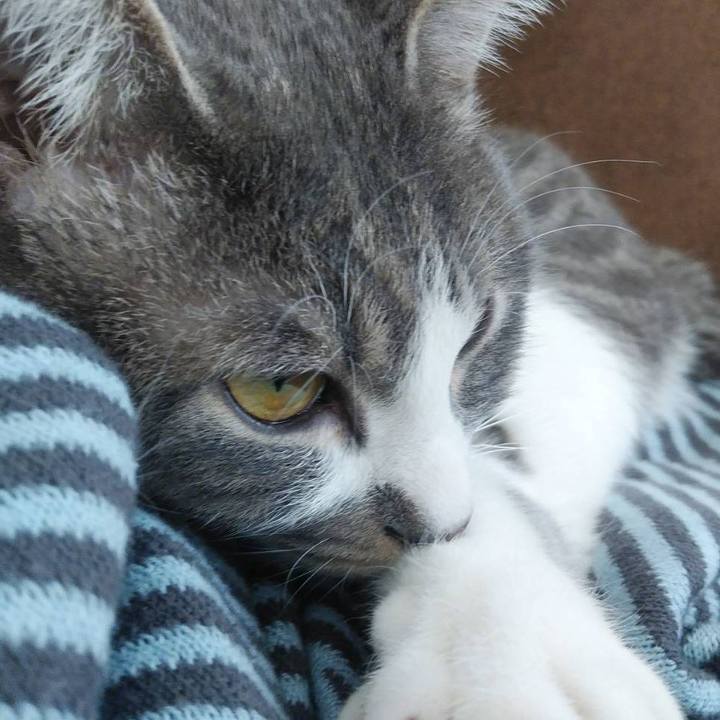 720eb96c 9a4a 4ad1 9c64 32713c663dcc 1584682257318