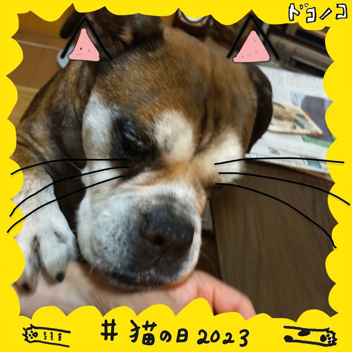 720ec144 ad7a 4956 86f7 040e92015940 1677078862562