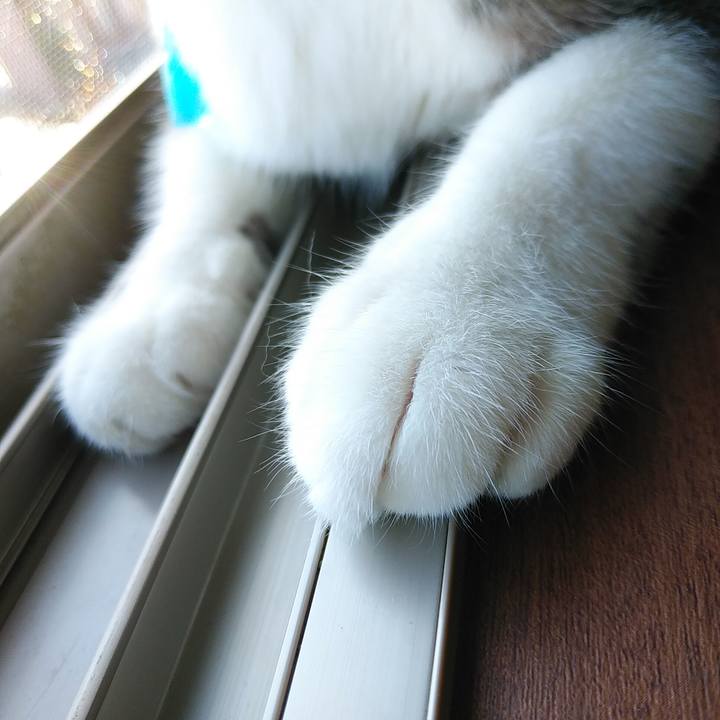 720ec6bd 91c7 484a 8643 36c9e275fce1 1593645819956