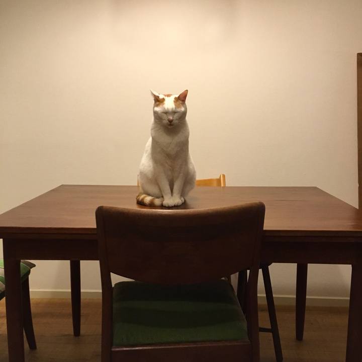 720ec985 4731 4430 9d36 44c2e21911c4 1519551190377