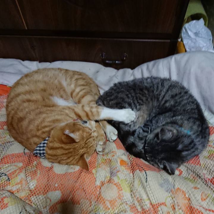 720ed12c 017e 40f6 a0a9 8b2d438452ec 1572874445956