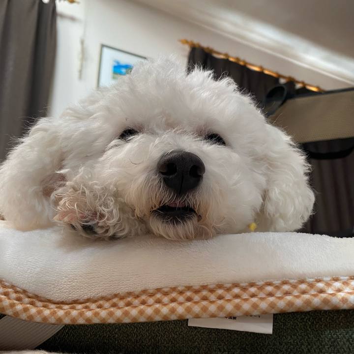 720ee46d bdb3 4019 8561 c8738acba935 1698801300948