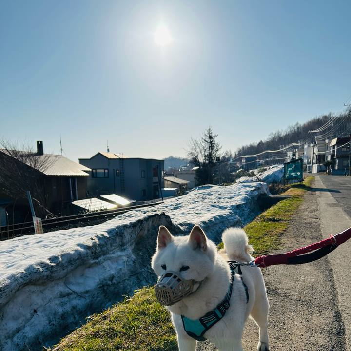 720ef90a 64f8 495a 98e8 2ed63d110fd6 1744417975327