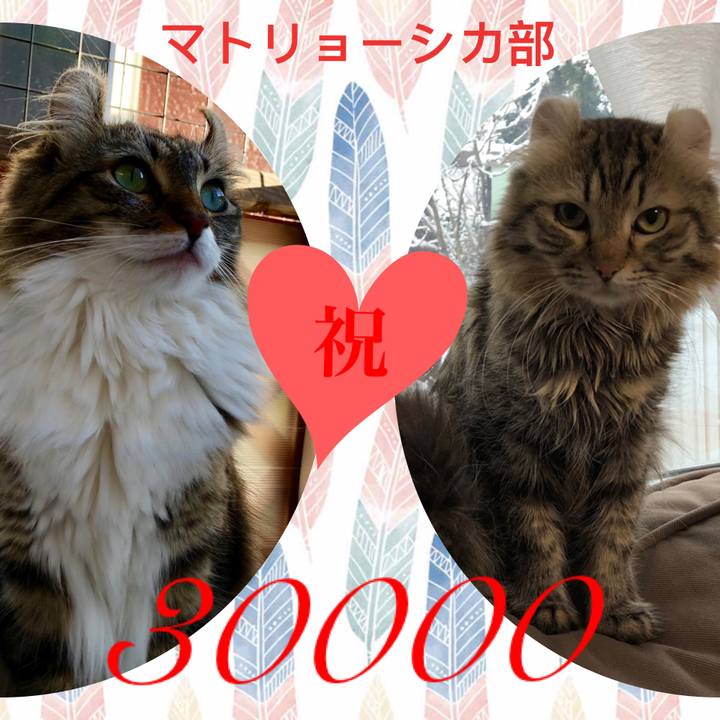 720efcfe 237e 4d13 9bad e9d999c520b5 1544882438091