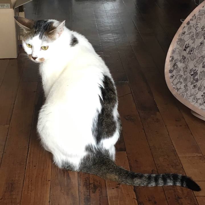 720f02dc f606 4e03 9b23 9c3c00b4823a 1554094746647