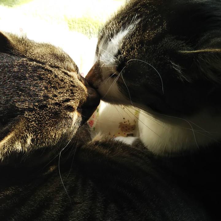 720f39cc a191 4179 813f fa719458d8f1 1613799274373