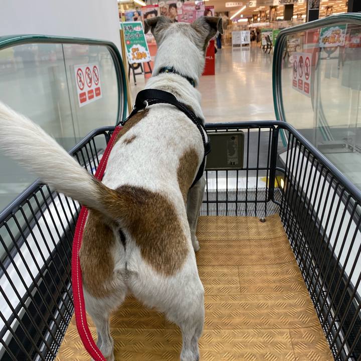 720f725a 9ba0 4bbb 953c 7e459c1bd2ab 1601545612379