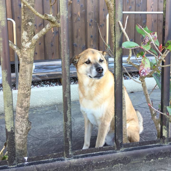 720f8478 1f31 4fa8 9eea bdc06a867e6b 1551273084623