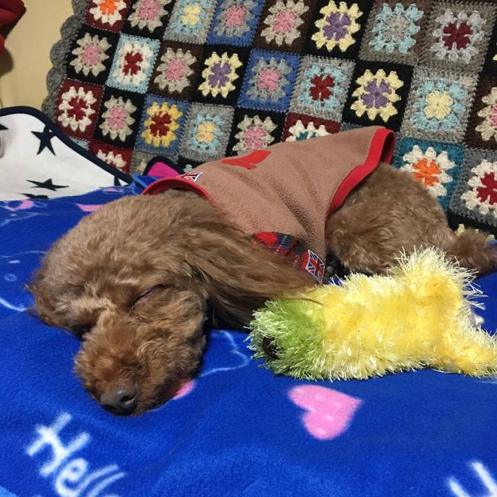 720fdcfc 6aed 4c51 ba64 6791b00102ed 1517202209990