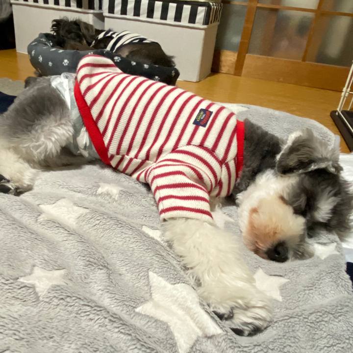 72103e57 dd1e 40b7 9572 eba05d79b0f4 1577640693755