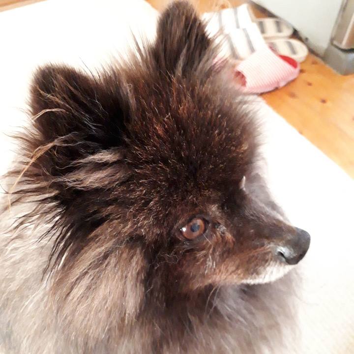 7210576f ce6f 4814 8f0d c85c51472789 1518846775335